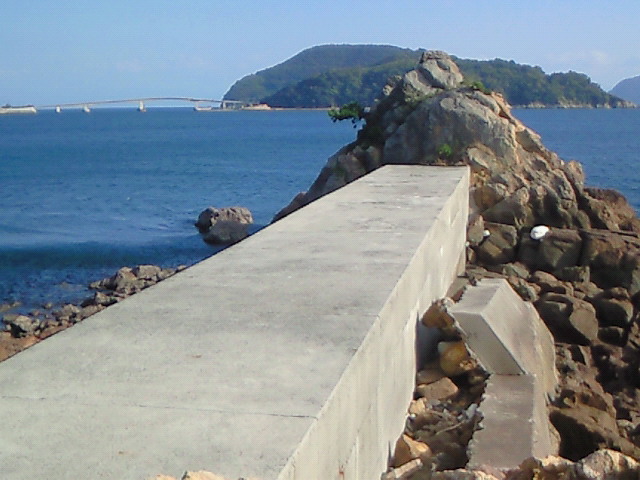 山口県周防大島町 地家室の地磯釣行 釣りバカクロ兵衛の釣り日記